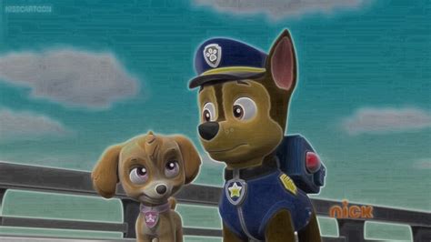 paw patrol skase